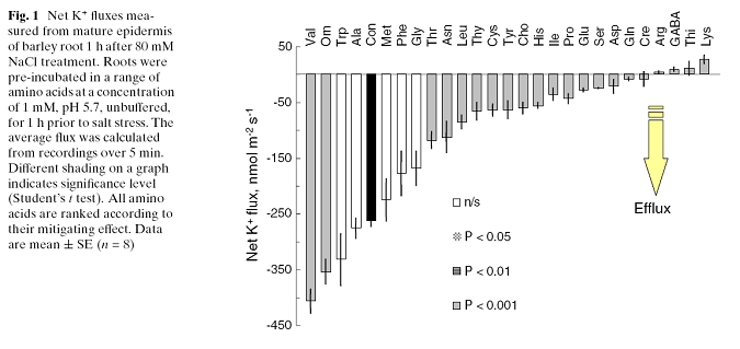 K fluxes with AminoAcids